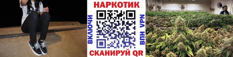 Магазины продажи наркотиков Новая Ляля Гашиш СК KRAKEN как войти Меф Бошки Шишки Кокаин МЕТАМФЕТАМИН Экстази